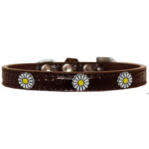 White Daisy Widget Croc Dog Collar ChocolateSize 16, Mirage Pet Products, Mfr#: 720-24 CHC16